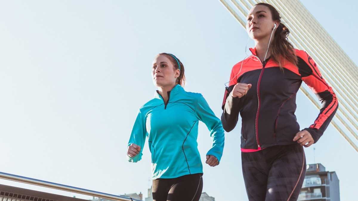 archivo infogate web-5-2-13-16