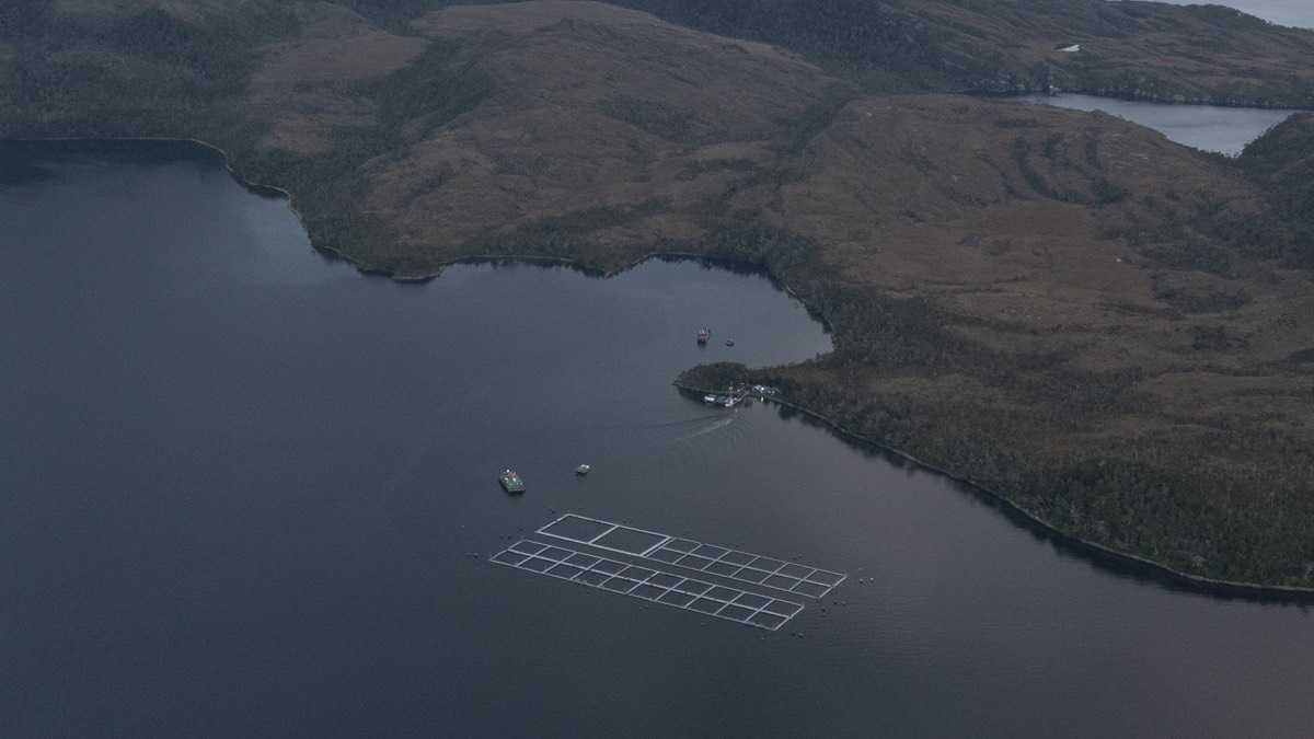 archivo infogate web-5-2-13-27