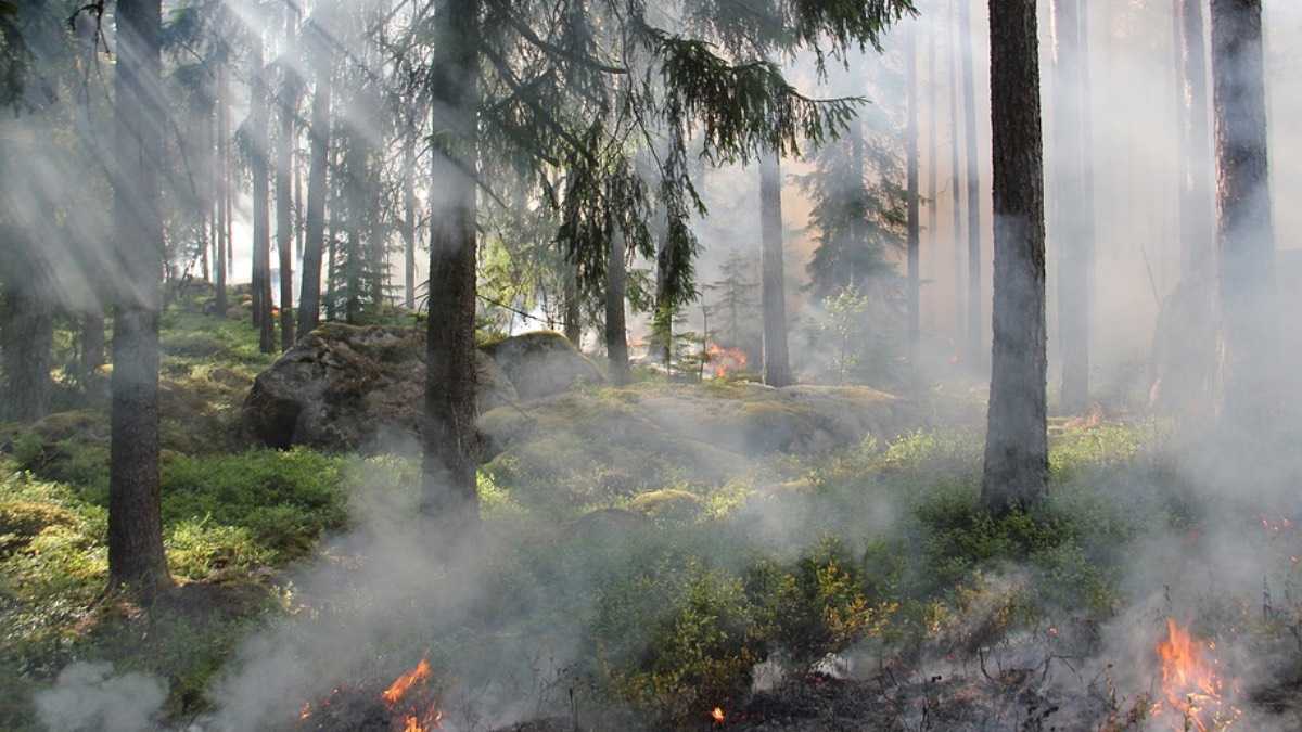 archivo infogate web-5-2-13-34