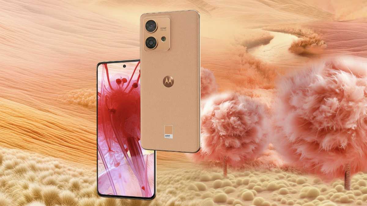 archivo infogate web-5-2-13-42