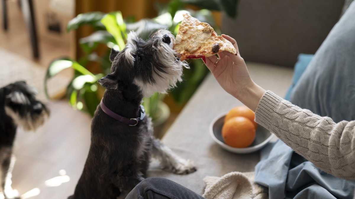 archivo infogate web-5-2-13-44