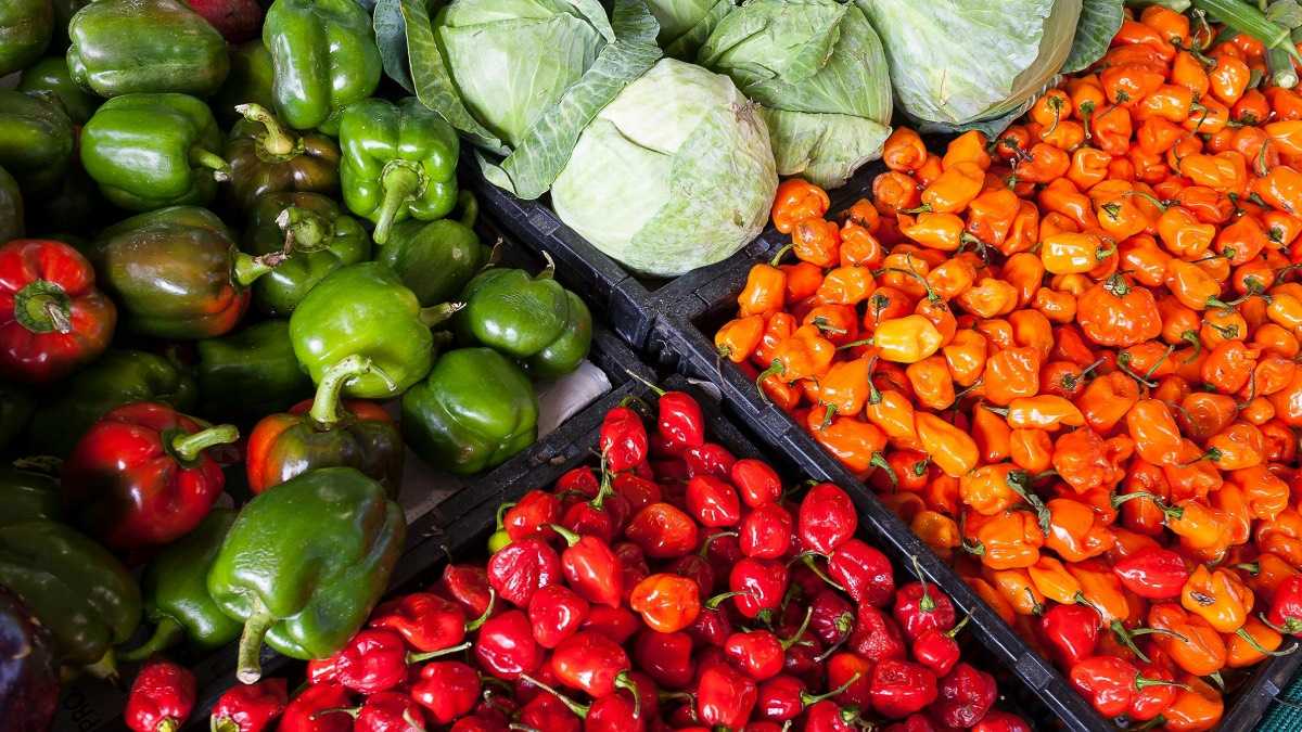 archivo infogate web-5-2-13-6