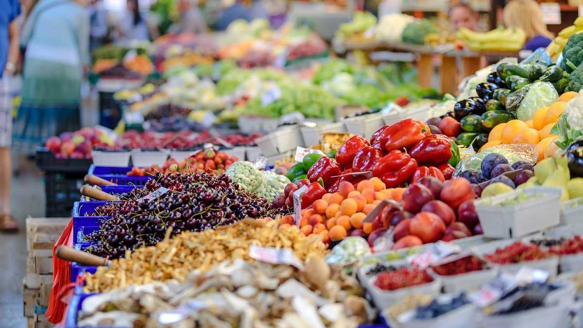 archivo infogate web-5-2-13-8