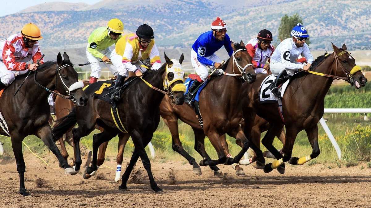 archivo infogate web-5-2-34-11