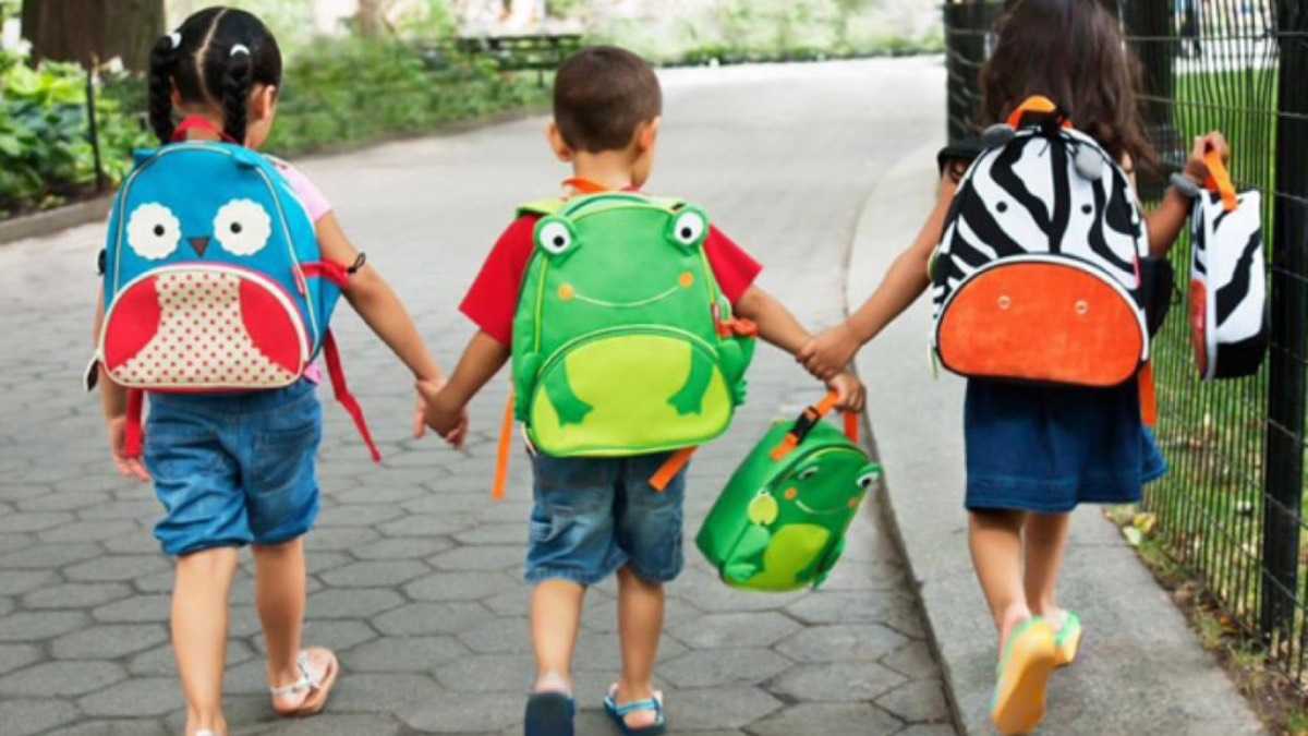 archivo infogate web-5-2-34-19