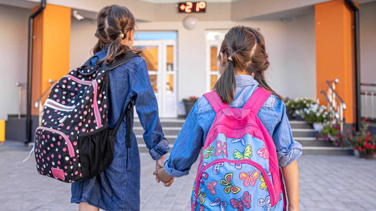 archivo infogate web-5-2-34-6