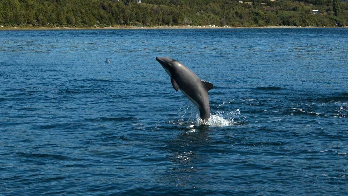 archivo infogate web-5-2-34-9