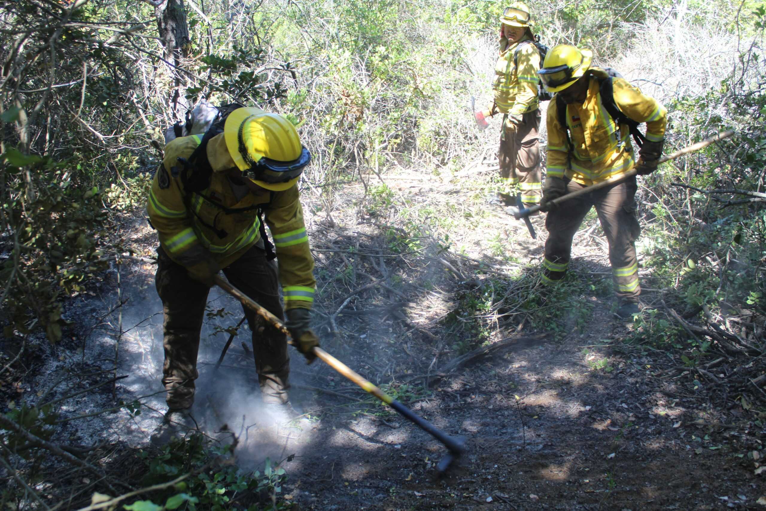 brigadistas-forestales