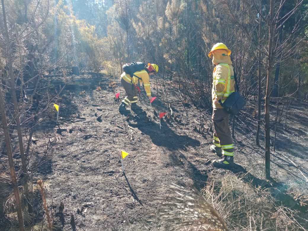 Unidad de Análisis y Diagnóstico Conaf