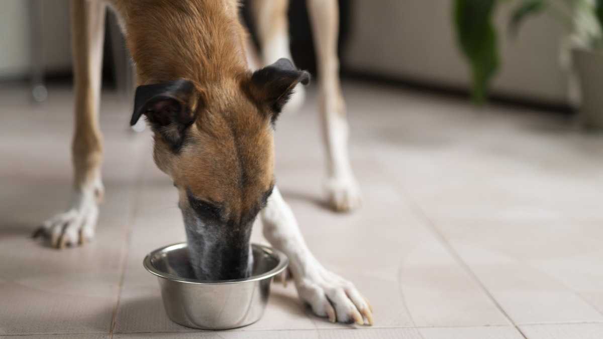 archivo infogate web-5-2-13-40