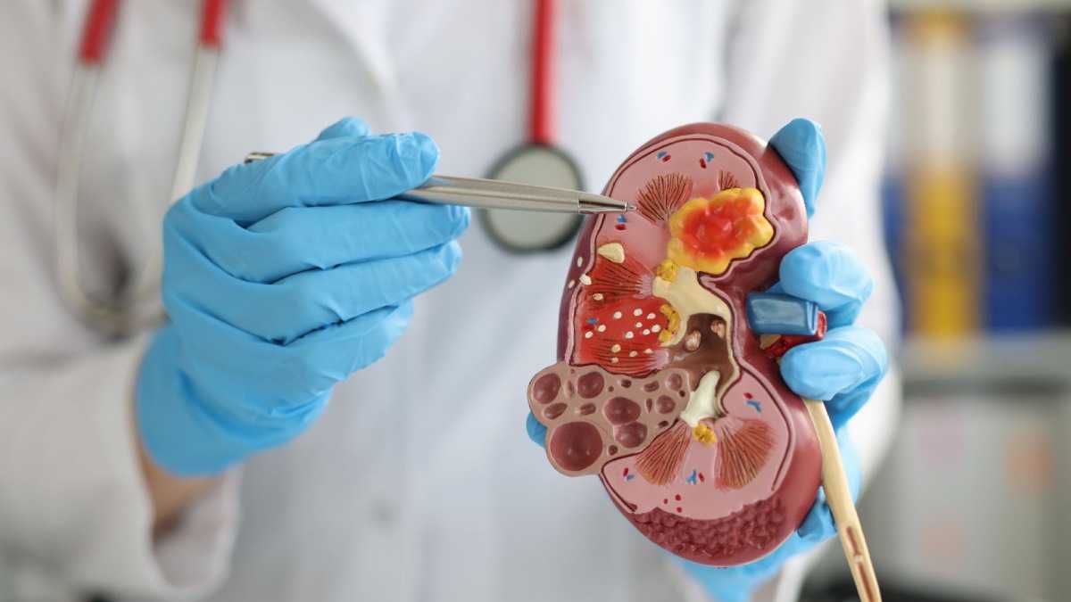 archivo infogate web-5-2-34-31