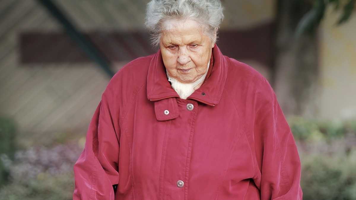 archivo infogate web-5-2-34-5