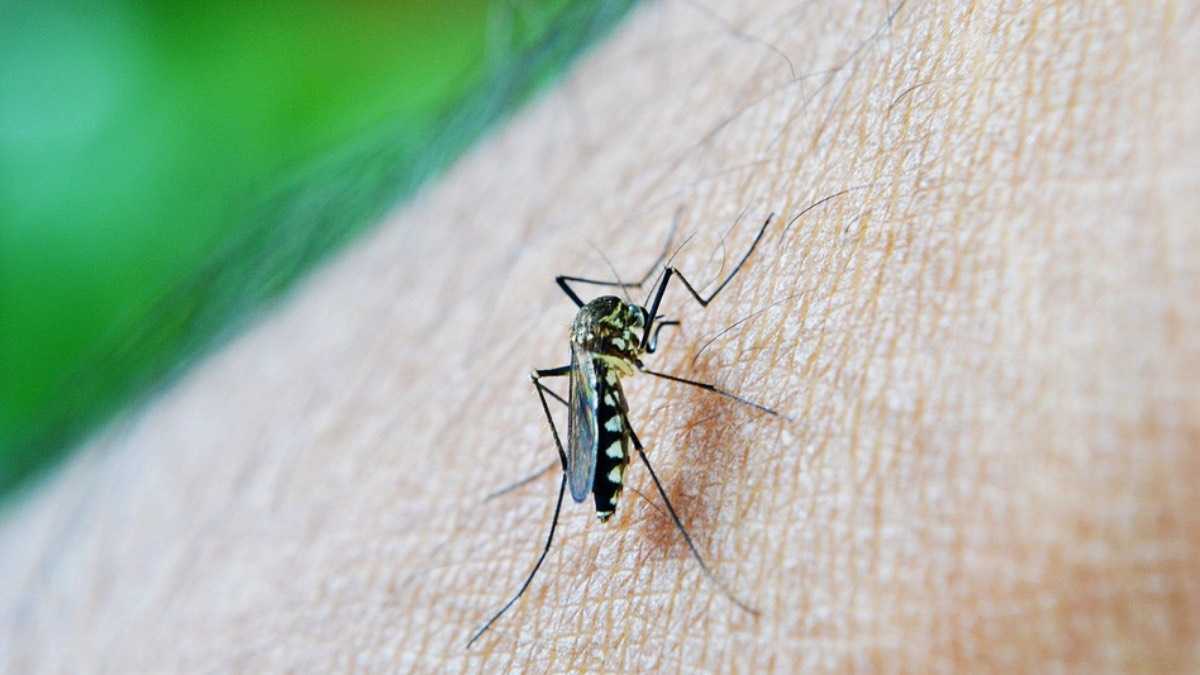 archivo infogate web-5-2-34-8