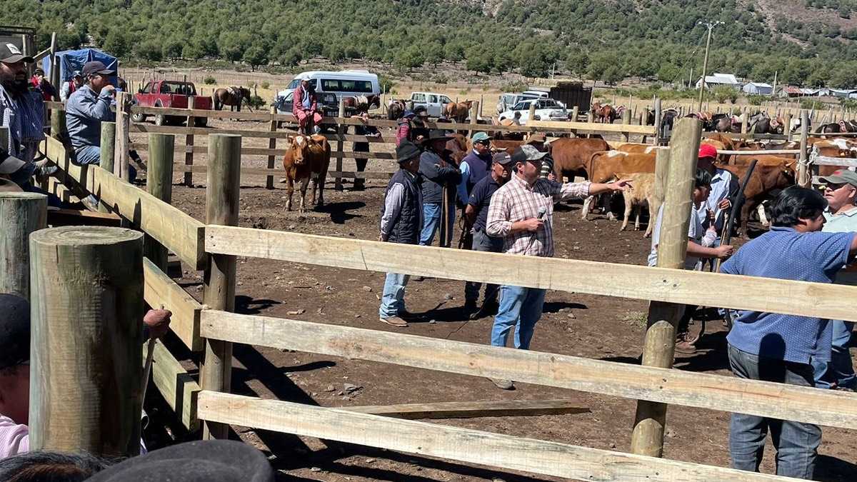 archivo infogate web-5-2-34-9