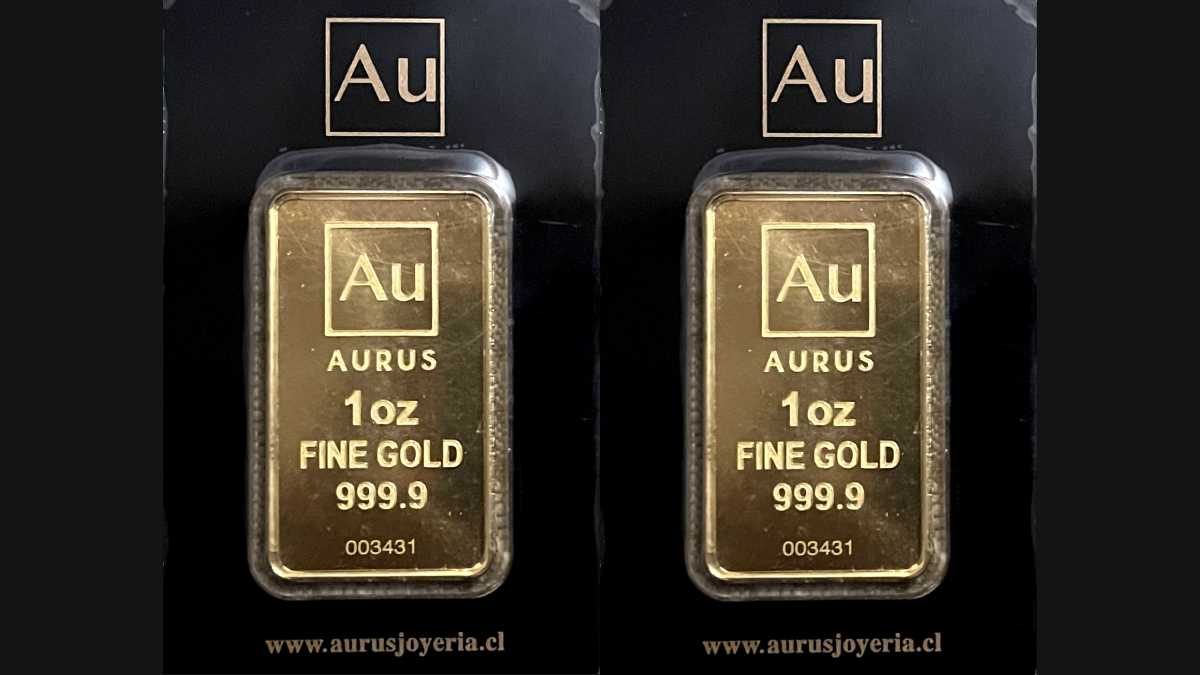 plantilla fotos infogate