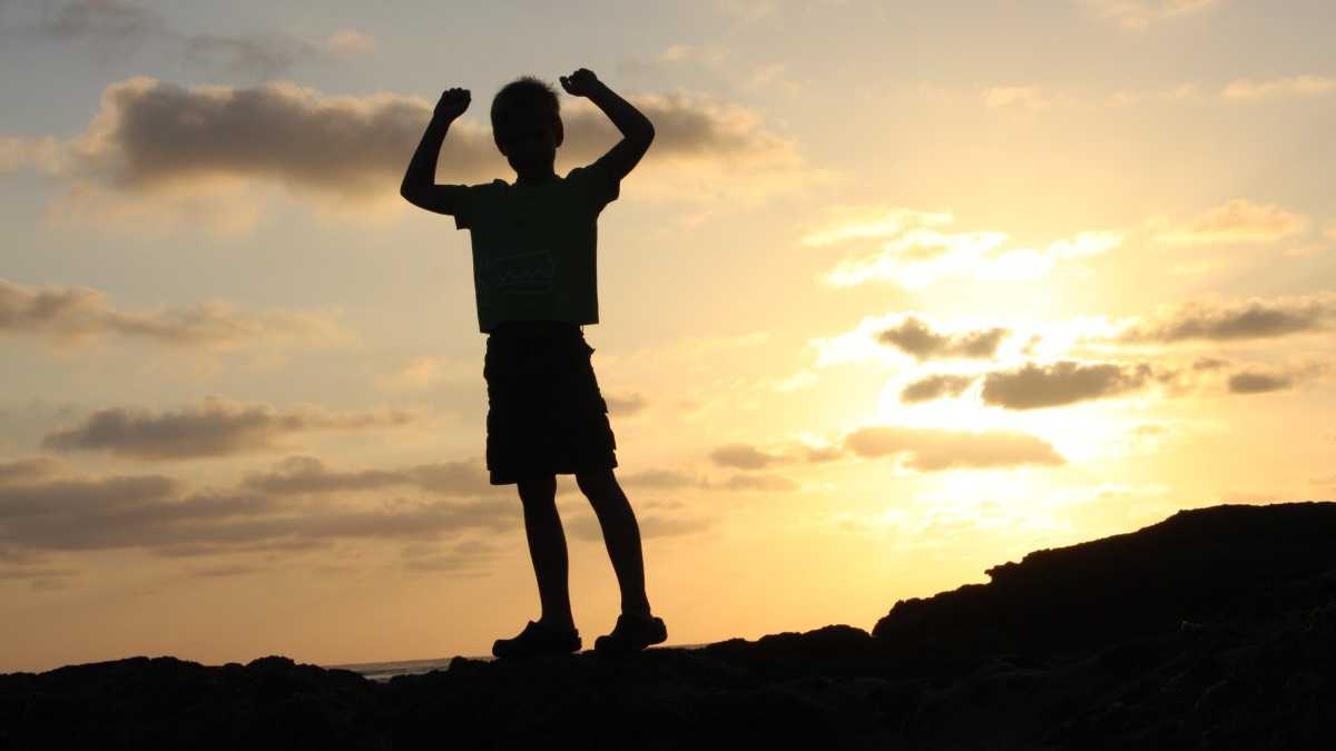 archivo infogate web-5-2-34-11