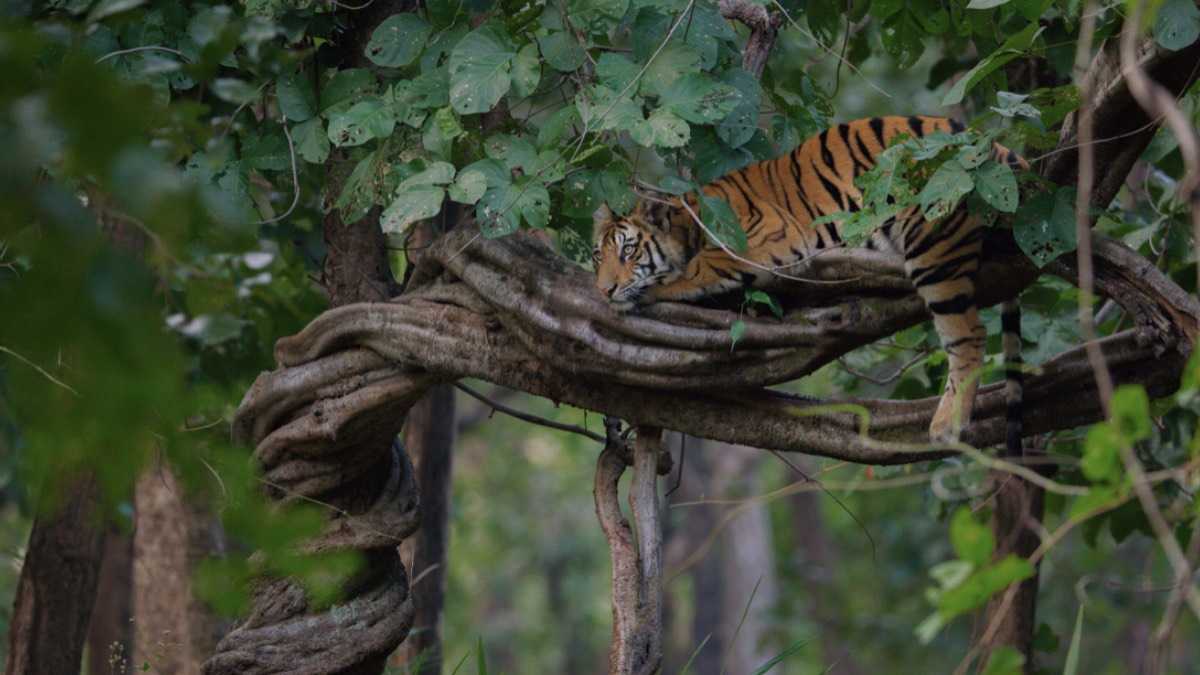 archivo infogate web-5-2-34-31