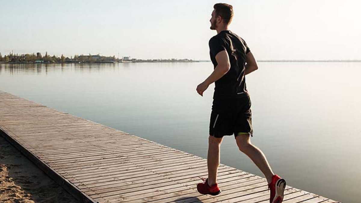 archivo infogate web-5-2-34-34