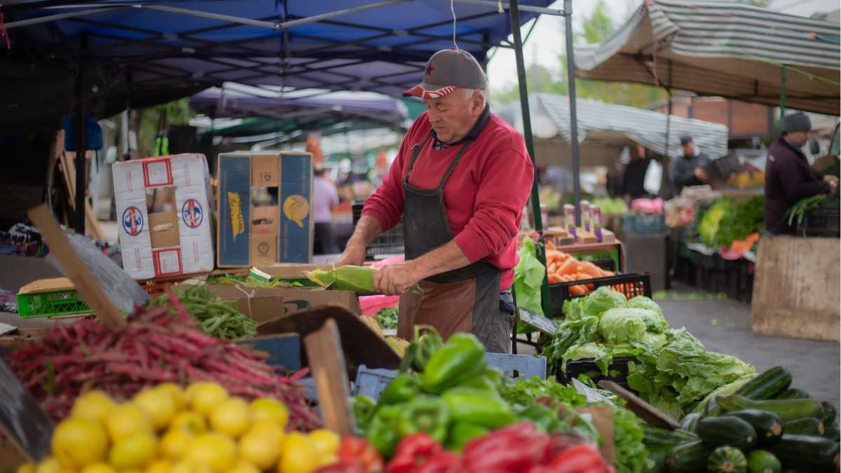 archivo infogate web-5-2-34-46