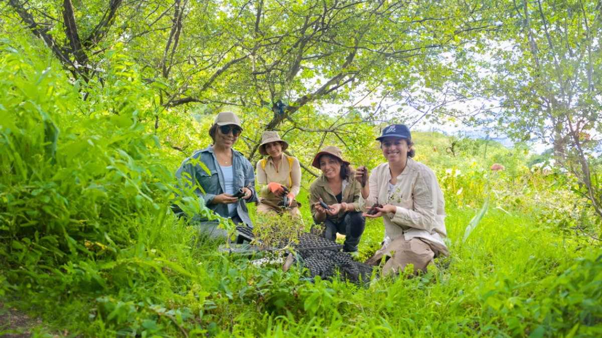 archivo infogate web-5-2-34-48