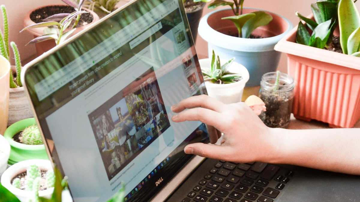 archivo infogate web-5-2-34-6