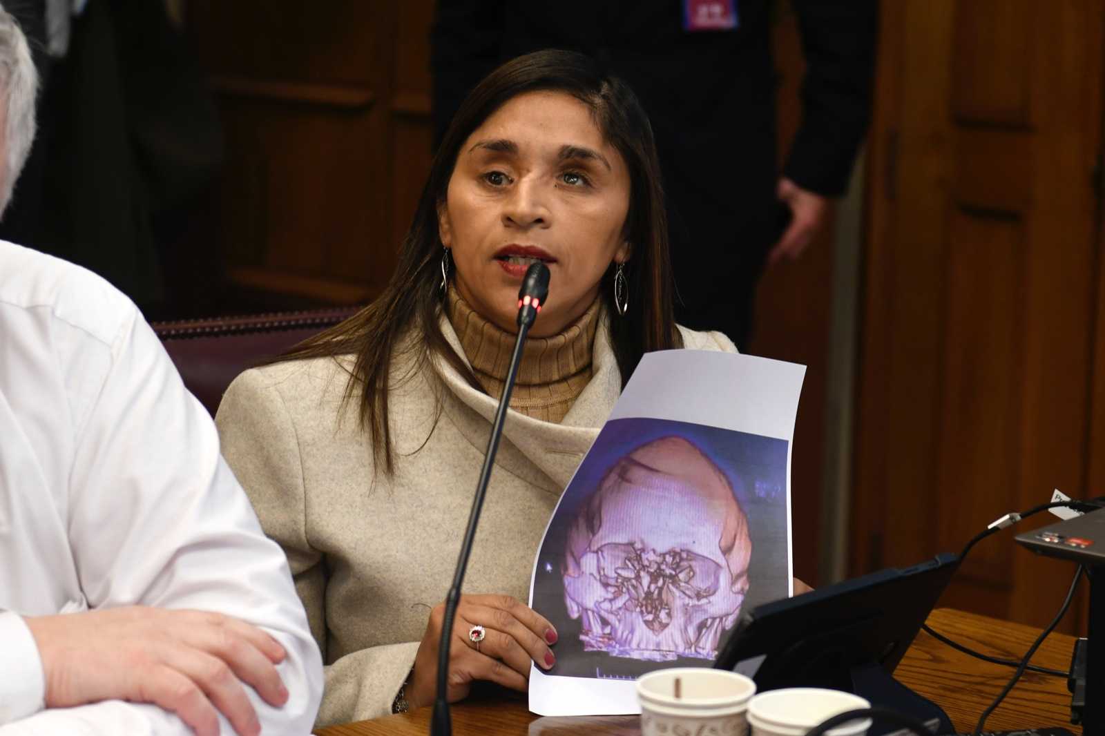 Senadora Fabiola Campillai