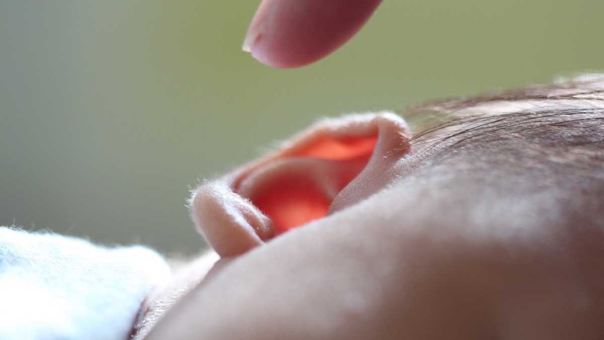 archivo infogate web-5-2-34-15