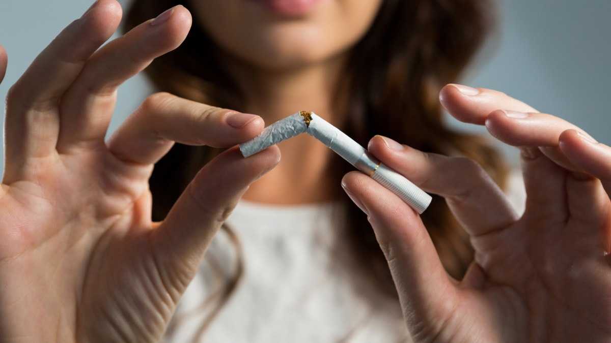 archivo infogate web-5-2-34-15