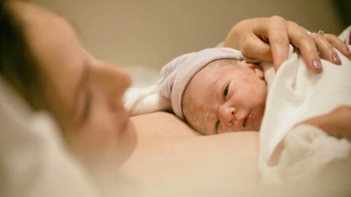 archivo infogate web-5-2-34-19