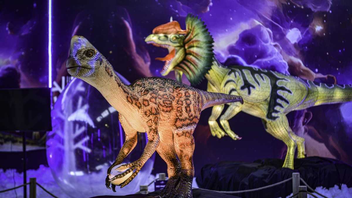 archivo infogate web-5-2-34-2