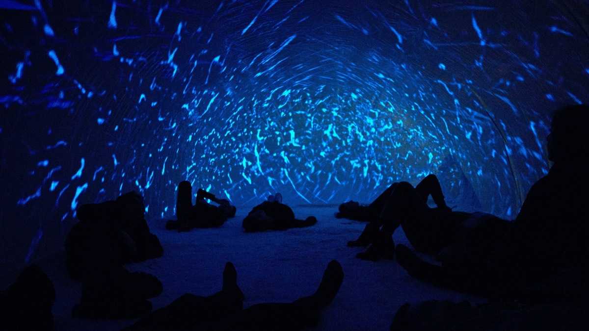 archivo infogate web-5-2-34-44