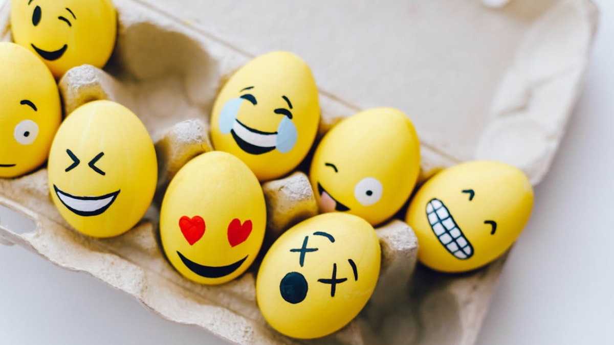 archivo infogate web-5-2-34-46