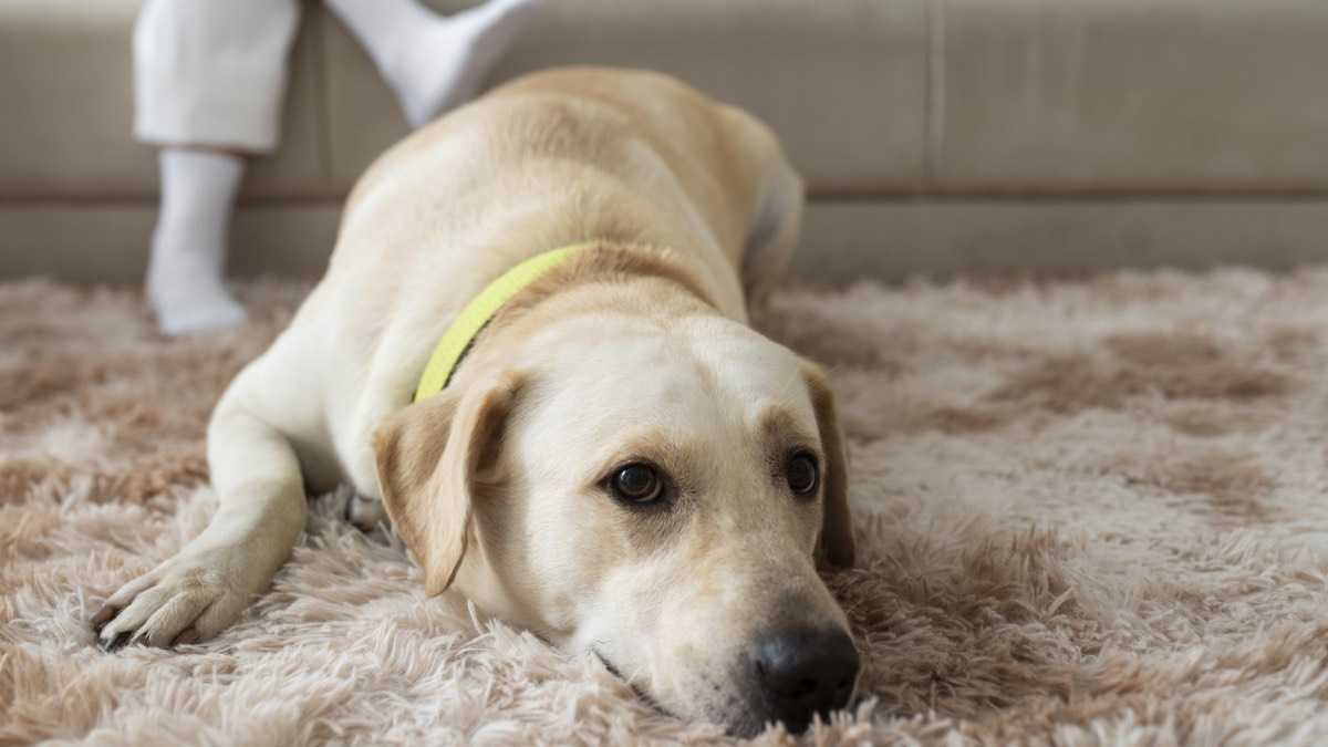 archivo infogate web-5-2-34-52