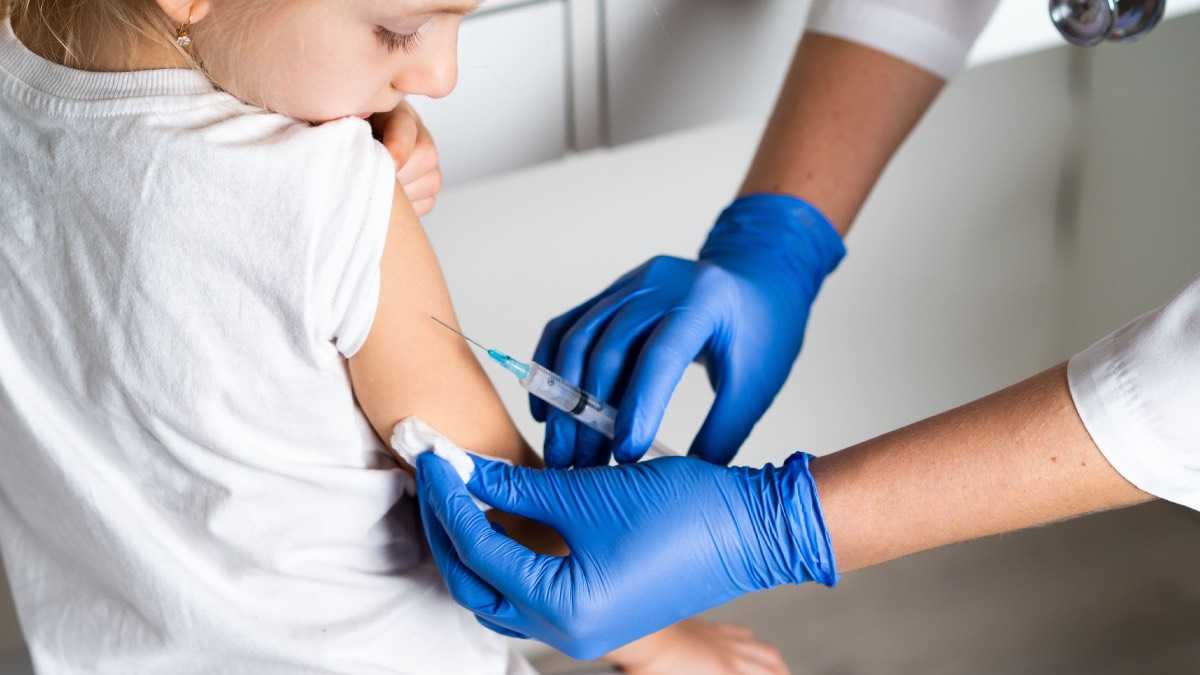 archivo infogate web-5-2-34-8