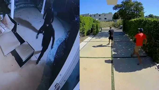 ladrones-chilenos-eeuu