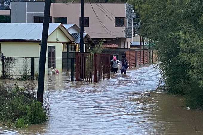 Curanilhue temporal 11-06-2024