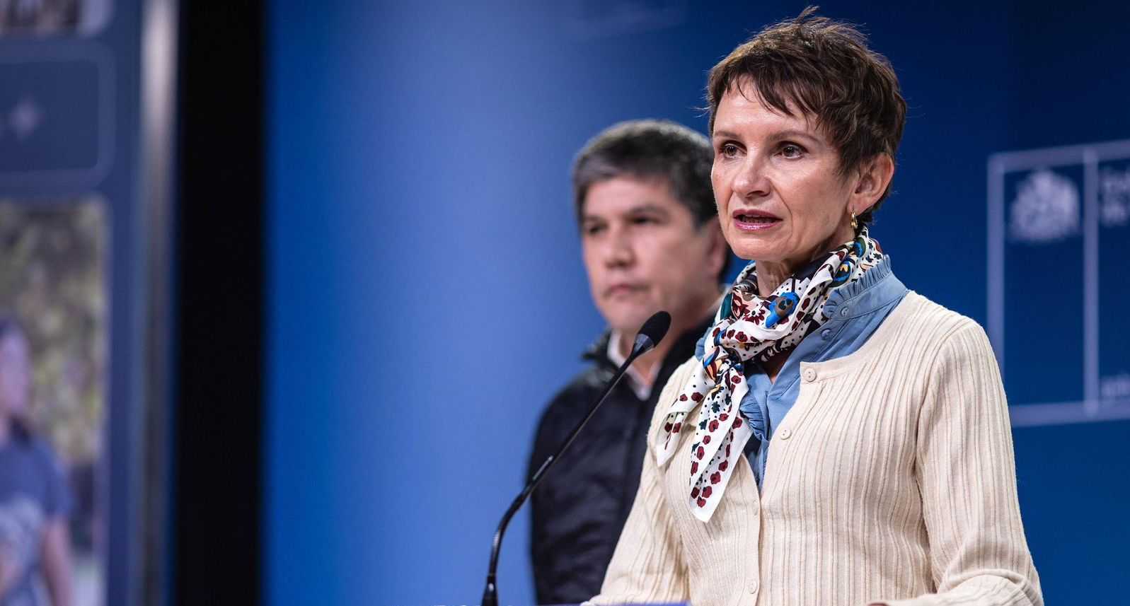 Vicepdta S Carolina Tohá 13-06-2024