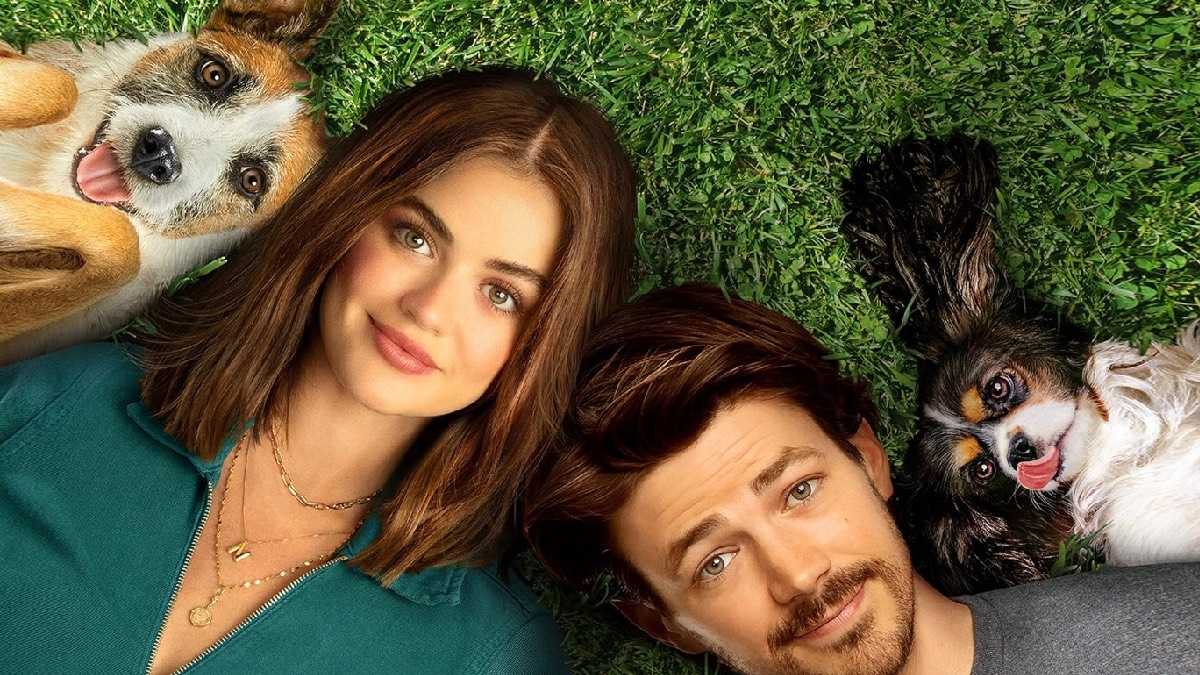 archivo infogate web-5-2-34-23