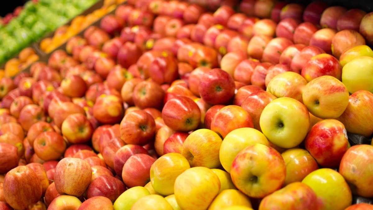 archivo infogate web-5-2-34-24