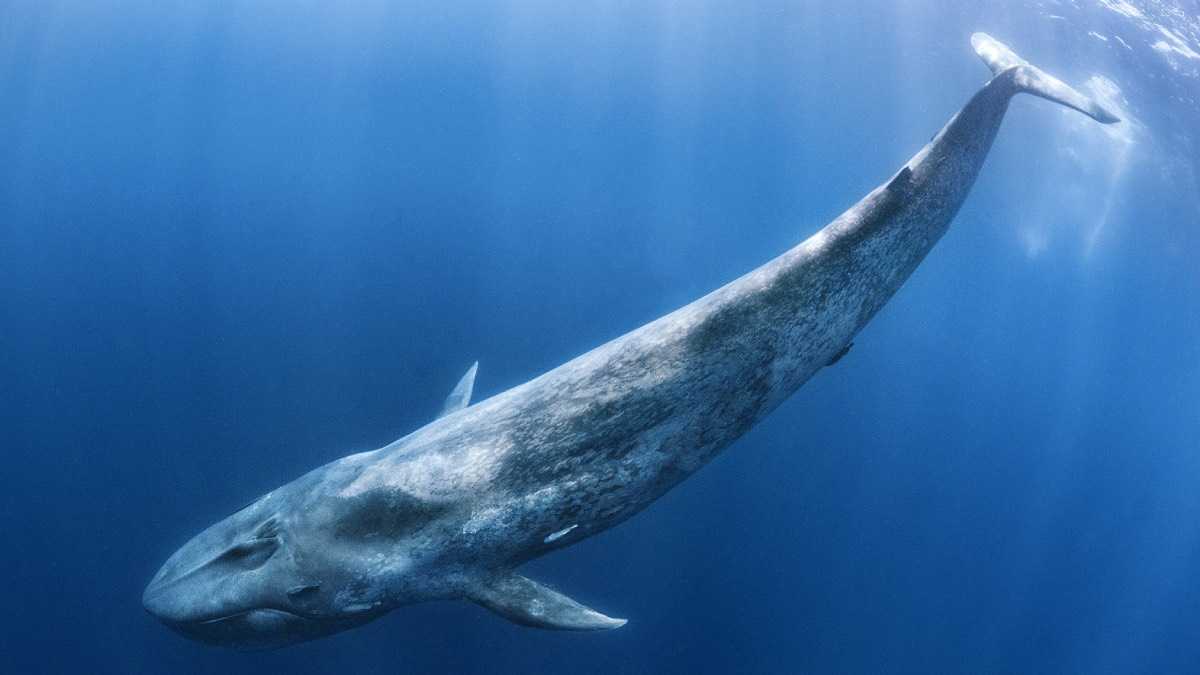 archivo infogate web-5-2-34-30