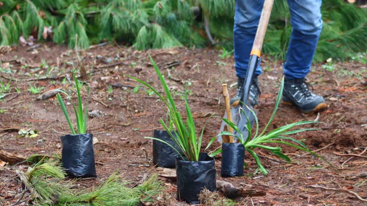 archivo infogate web-5-2-34-38