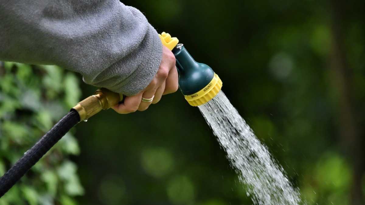 archivo infogate web-5-2-34-41