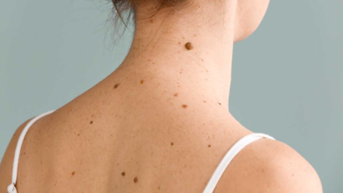 archivo infogate web-5-2-34-5