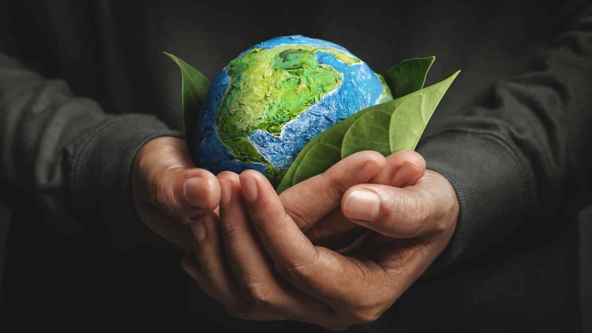 archivo infogate web-5-2-34-6