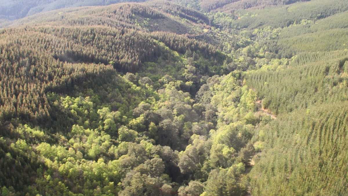 archivo infogate web-5-2-34-8