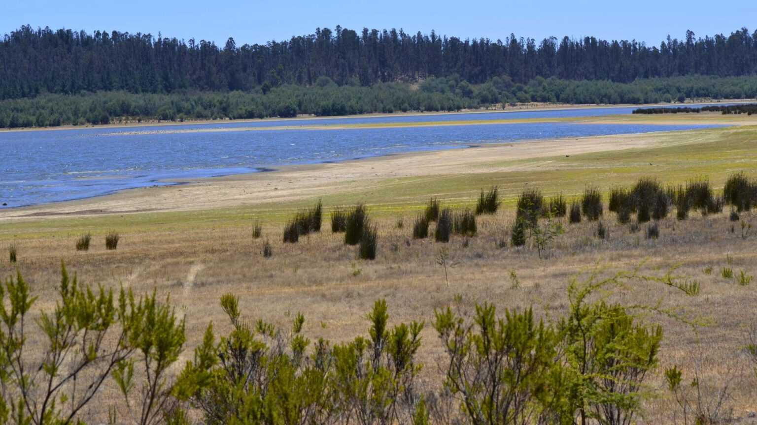 19-07-2024-agua-penuelas-1536x864