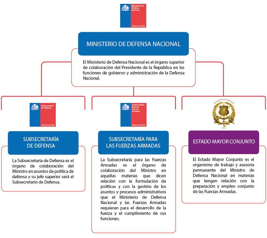 Organizacion-purpura