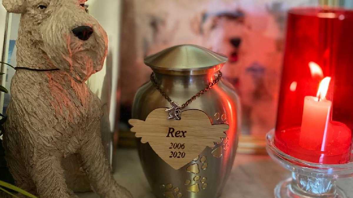 archivo infogate web-5-2-34-10