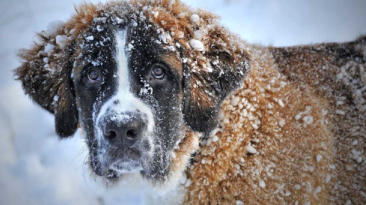 archivo infogate web-5-2-34-2