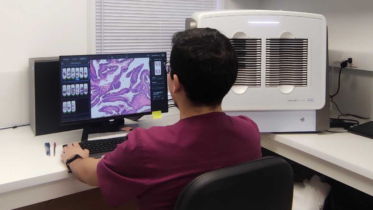 archivo infogate web-5-2-34-31